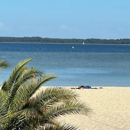 Chalet Et Jaccuzy Sur La Plage Бискаррос Экстерьер фото